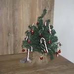 Storchennuest *