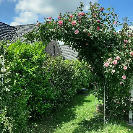 Storchennuest * Aurich