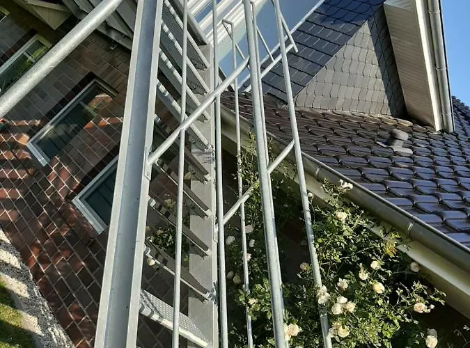 Storchennuest * 奥利希