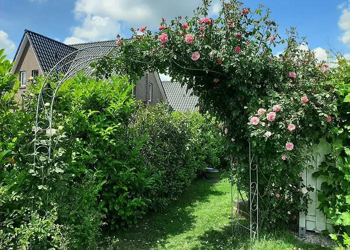 Storchennuest * 奥利希